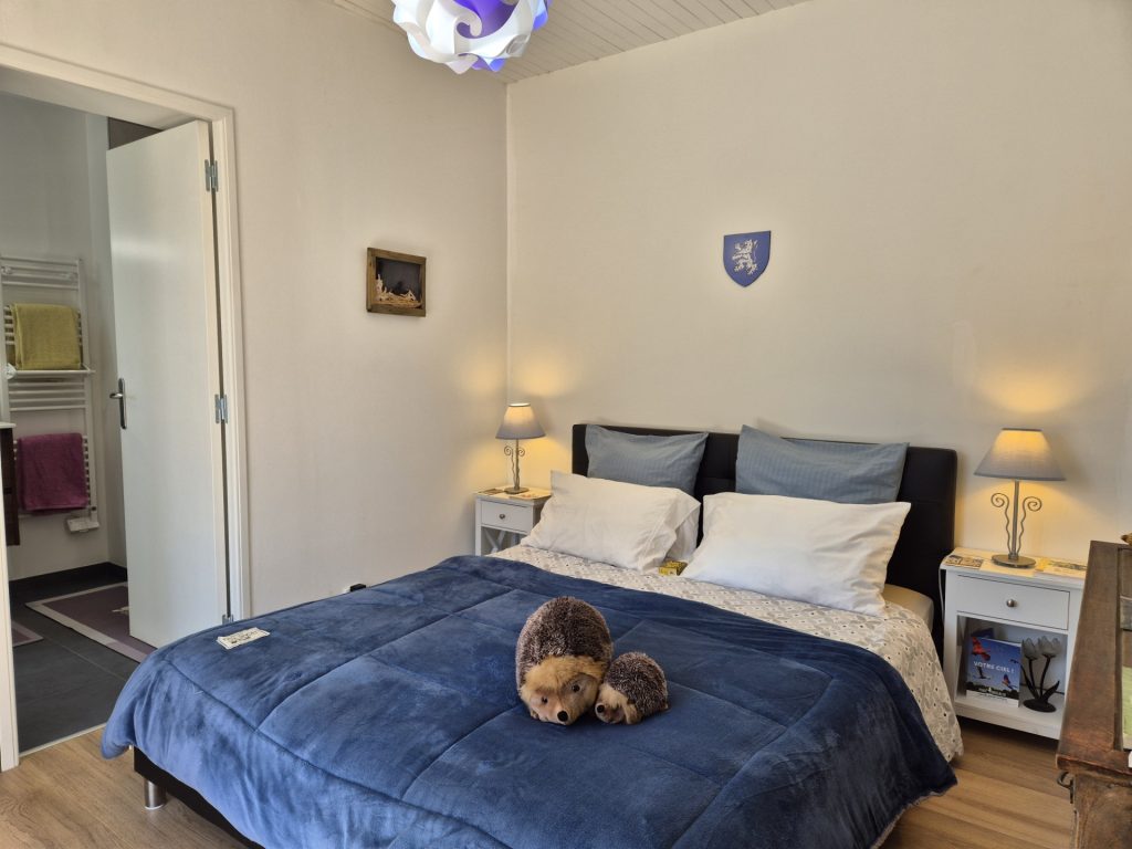 Salle de bain moderne avec douche et lavabo.