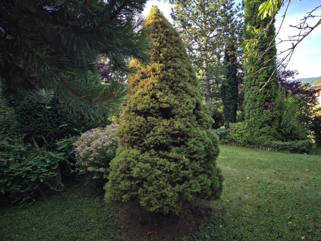 Grande cascade en forêt.