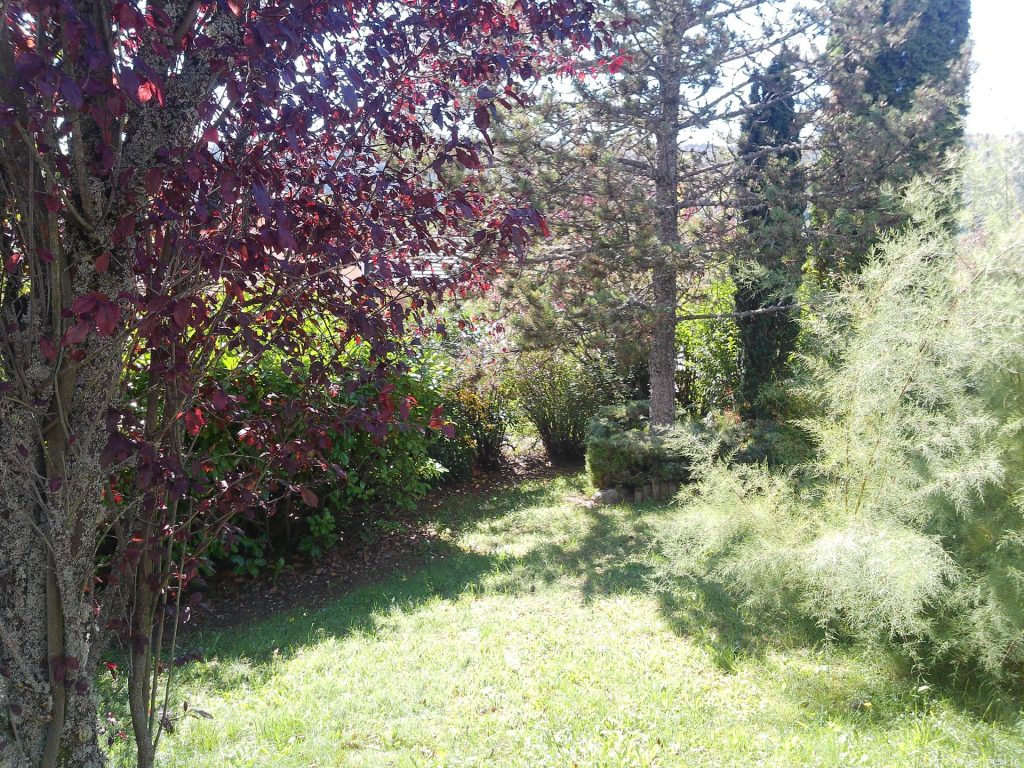 cascade tombant dans une rivière.