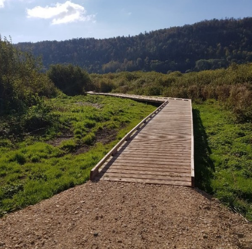 Sentier en bois traversant une zone herbeuse.